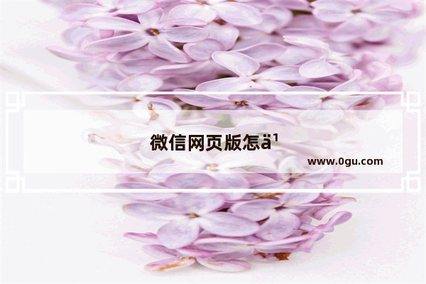 微信网页版怎么屏蔽群消息