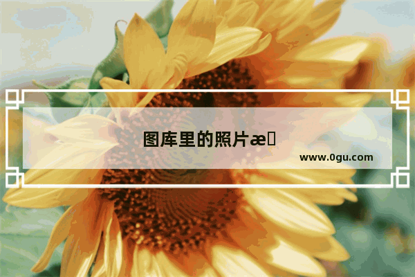 图库里的照片怎么不显示了