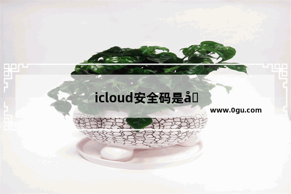 icloud安全码是啥
