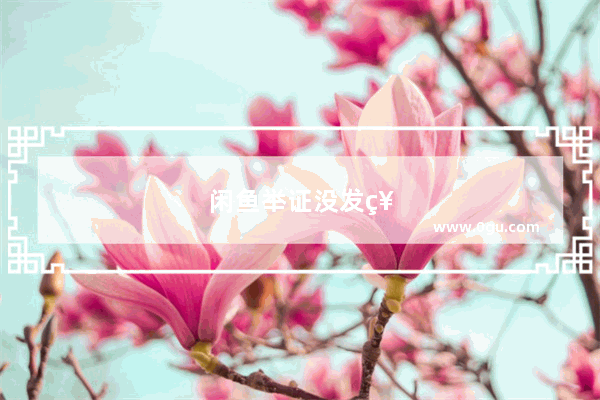 闲鱼举证没发票怎么办