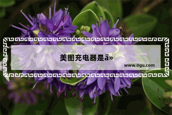 美图充电器是什么接口