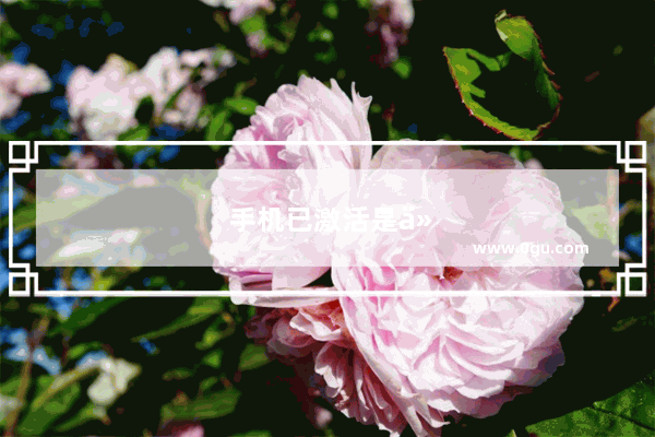 手机已激活是什么意思