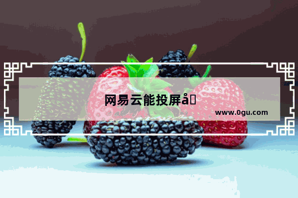 网易云能投屏吗