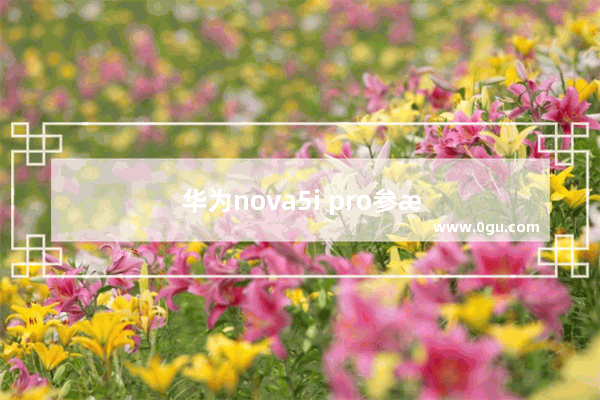 华为nova5i pro参数