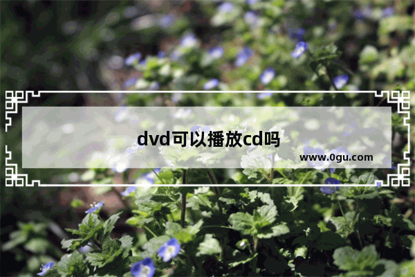 dvd可以播放cd吗