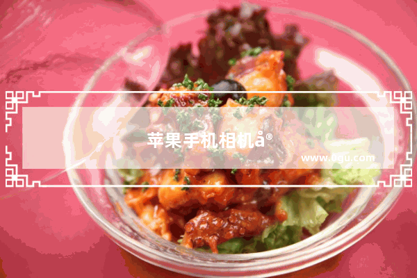 苹果手机相机实况是什么意思