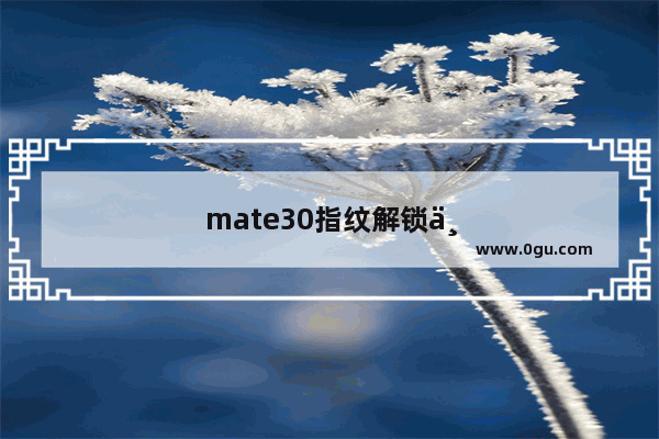 mate30指纹解锁不灵敏