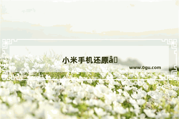 小米手机还原出厂设置在哪里？