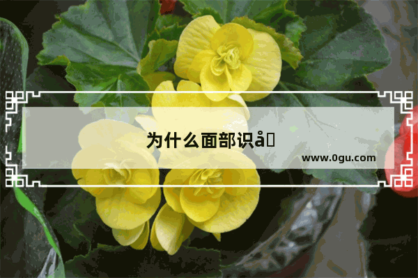 为什么面部识别突然不能用了
