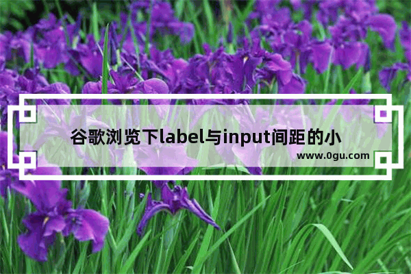 谷歌浏览下label与input间距的小问题