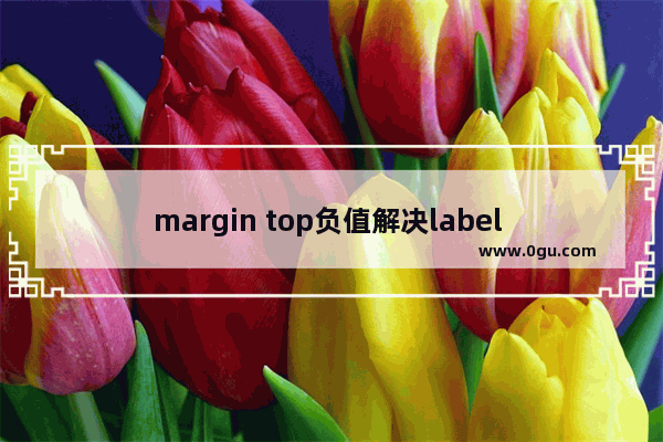 margin top负值解决label 文字与input 垂直居中对齐问题