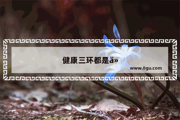 健康三环都是什么意思