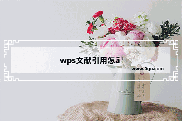 wps文献引用怎么做