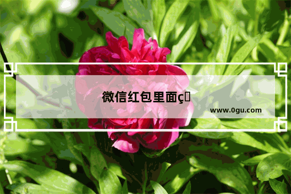 微信红包里面的钱怎样才用来充话费