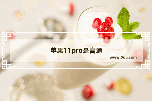 苹果11pro是高通基带吗