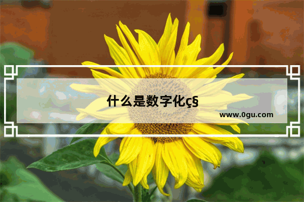 什么是数字化科技