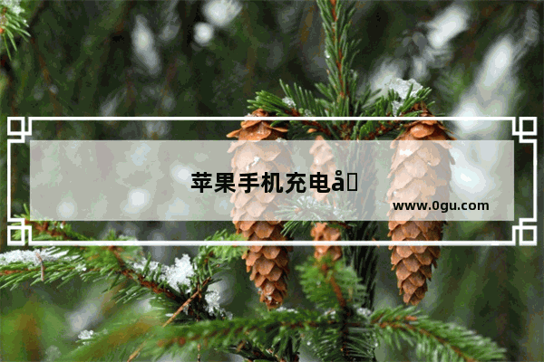 苹果手机充电器充电不进怎么回事