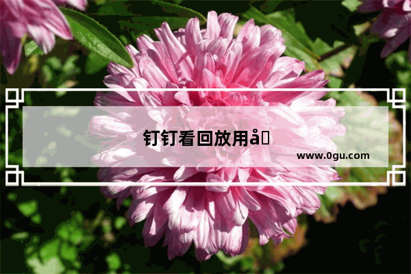 钉钉看回放用倍速有影响吗