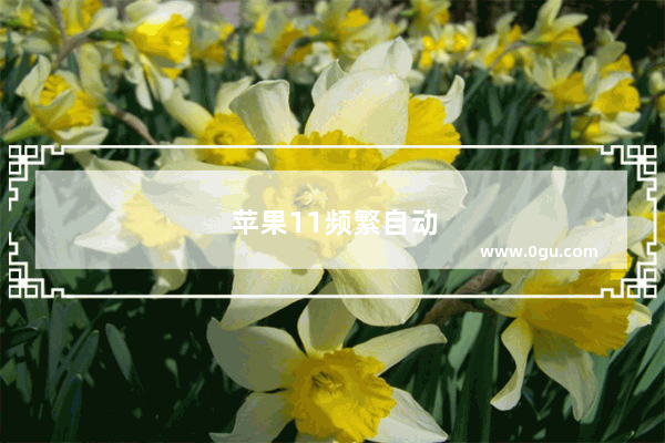 苹果11频繁自动重启