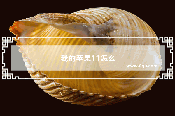我的苹果11怎么不是双卡