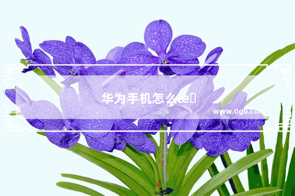 华为手机怎么提取文字