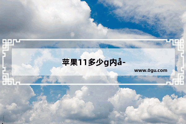 苹果11多少g内存