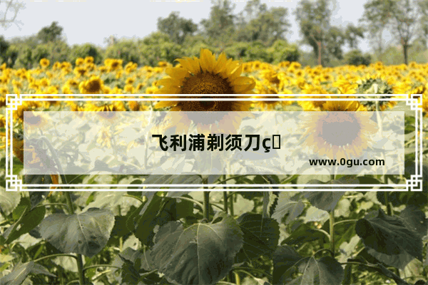 飞利浦剃须刀电池不存电怎么办