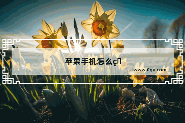 苹果手机怎么用趣键盘表情包