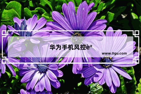 华为手机风控设置在哪