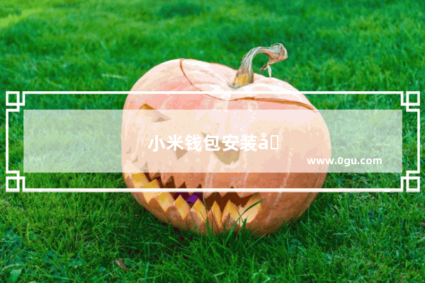 小米钱包安装别的手机