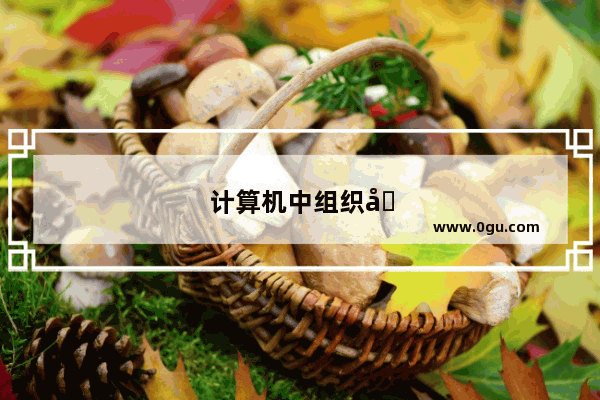 计算机中组织和存储信息的基本单位