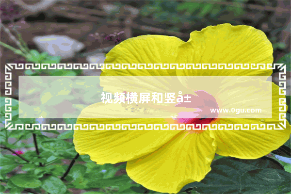 视频横屏和竖屏的区别