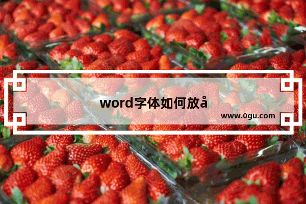 word字体如何放大