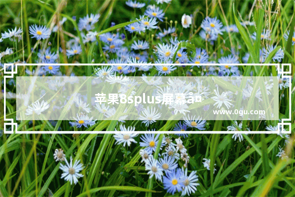 苹果8splus屏幕多大尺寸
