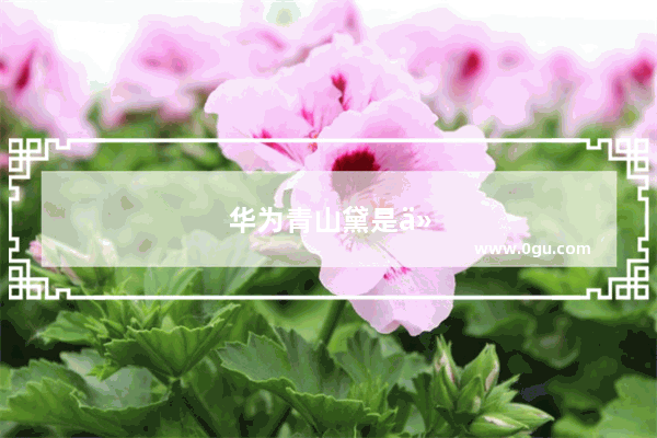 华为青山黛是什么材质