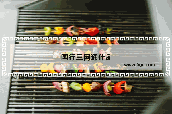 国行三网通什么意思