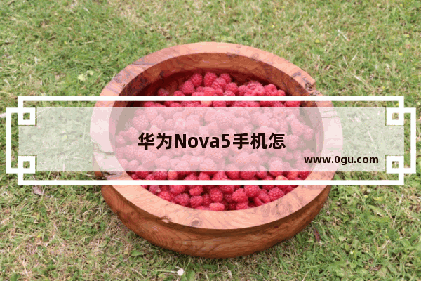 华为Nova5手机怎么下载两个微信