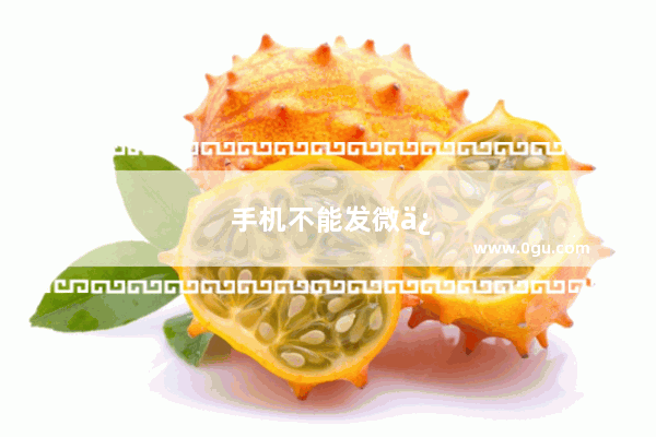 手机不能发微信怎么回事
