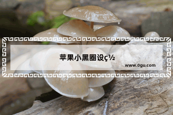 苹果小黑圈设置在哪设置