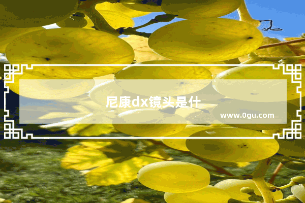 尼康dx镜头是什么意思