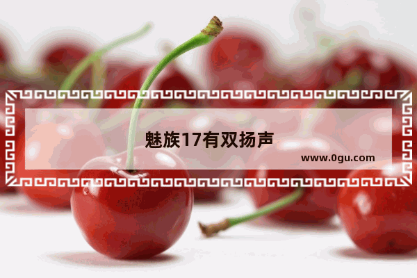 魅族17有双扬声器吗