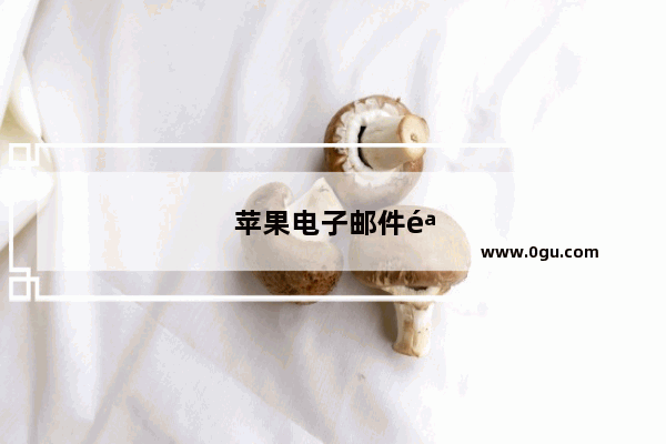 苹果电子邮件验证码在哪收