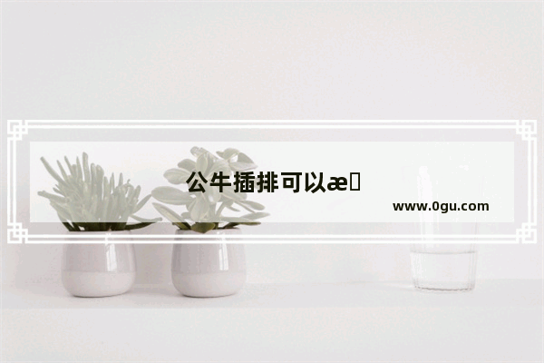 公牛插排可以插冰箱吗