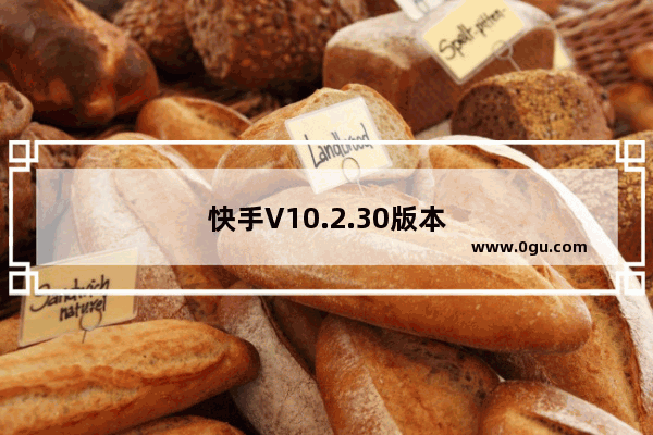 快手V10.2.30版本