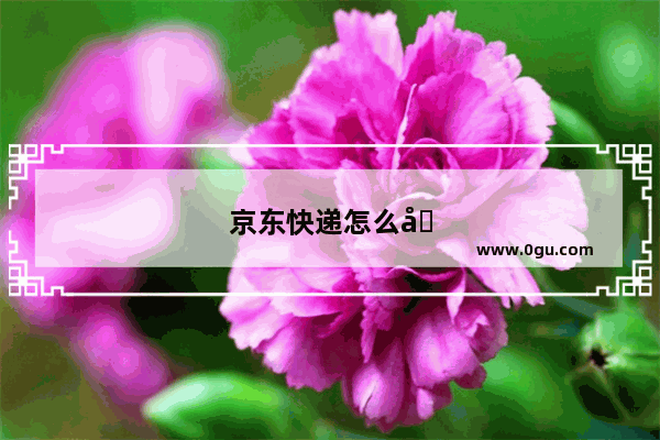京东快递怎么取消
