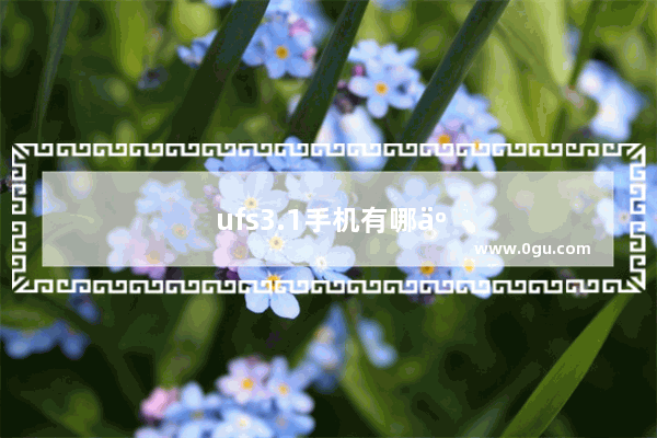 ufs3.1手机有哪些