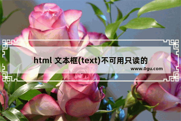 html 文本框(text)不可用只读的多种实现方法