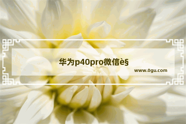 华为p40pro微信视频支持美颜功能吗
