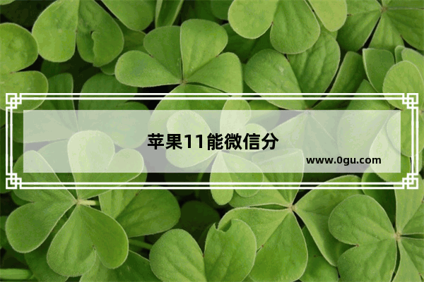 苹果11能微信分身的吗