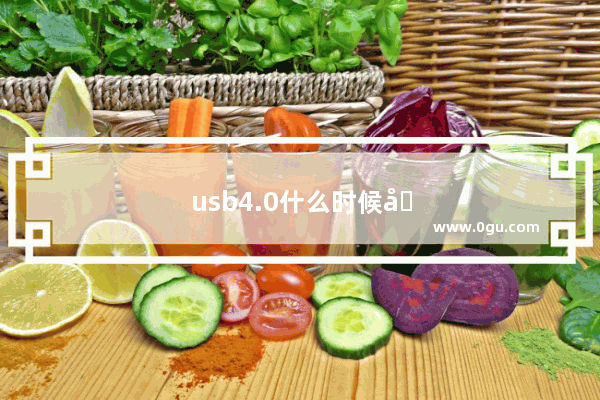 usb4.0什么时候发布